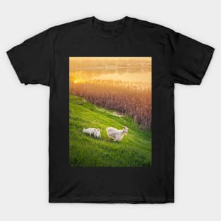 A goat with two little kids T-Shirt